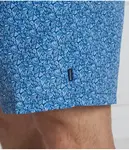 Пляжные шорты Regular fit Hackett London, синий - фото 3