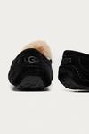 Замшевые тапочки Ascot UGG — Ugg, черный - фото 3