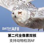 Фотоаппарат Canon EOS R5 RF 24-70mm - фото 10