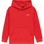 Худи Element Co, красный - фото