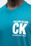 Футболка Calvin Klein CORNER GRAPHIC, Teal Marine/Blue - фото 6
