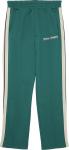 Брюки Palm Angels Classic Track Pant 'Forest Green', зеленый - фото