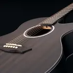 Washburn Deep Forest Ebony ACE - фото 4