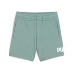 Обычные брюки PUMA, пастельный зеленый - фото