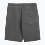 Мужские шорты Pitbull Lancaster 2 - фото 2