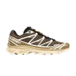 Кроссовки XT-6 Advanced Salomon, коричневый - фото