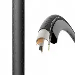 Дорожная шина Pirelli P Zero 700C x 24, черный - фото 4