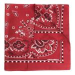 Шарф с узором «пейсли» Dsquared 2, темный красный - фото 2