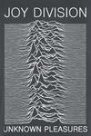 Футболка Amplified Collection - Unknown Pleasures от Joy Division - фото 2
