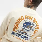 Толстовка Hydroponic Pushing cw, бежевый - фото 6