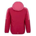 Куртка Regatta Volcanics VIII, розовый - фото 4