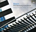 CD диск Bach / Musica Amphion / Belder: Brandenburg Concertos 1-6 - фото