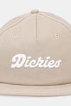 Кепка с козырьком Dickies, бежевый - фото 2