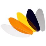 Визор Nolan n100-5 pinlock, Clear - фото