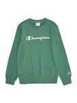 Champion Authentic Athletic Apparel Свитшот в зеленом цвете - фото