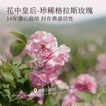 Тонер / Лосьон Women's LITTLE DREAM GARDEN - фото 9