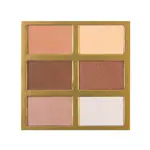 Палитра для лица Symphony Face Obsession J.Cat, цвет medium-dark - фото 2