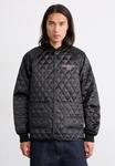 Куртка Carhartt WIP ALUMNI LINER, Black - фото