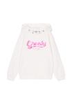 Худи Creeks Hoodie, Blanc/White - фото