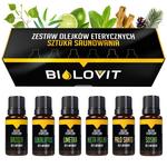 Биловит, Искусство сауны, Набор эфирных масел, 6 шт Bilovit - фото