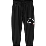 GS Брюки Puma, черный - фото