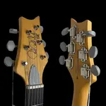 Электрогитара PRS SE Silver Sky в цвете Evergreen с чехлом - фото 3