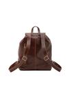 Рюкзак Chiara Ferretti Rucksack, Brown - фото 3