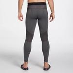 Мужские компрессионные тайтсы Dsg - фото 3