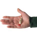 Blinker Kea + 14g золото/черные удочки Predator CAPERLAN, золото/черный - фото 4