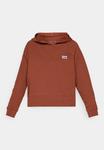 Худи Patagonia ESSENTIAL HOODY, Dried Vanilla/Copper - фото 5
