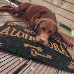 Гарри Поттер - коврик Алохомора - фото 4