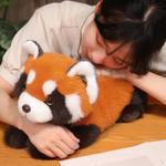 Плюшевая кукла панда FANNIKEER - фото 6