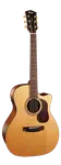 Акустическая гитара Cort Gold-A6 - фото
