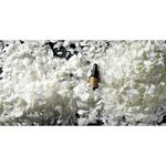 Эфирное масло нероли 5 мл Alqvimia - фото 3