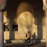 POC Велосипедный шлем - MYELIN - фото 4