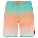 Шорты для плавания Protest Chad, зеленый - фото