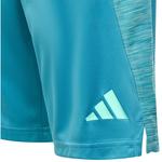 Спортивные шорты adidas Ti Heath, синий - фото 4