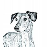 Складное карманное зеркало для арабской борзой Inna Marka - фото 2