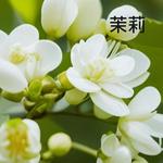 Женские духи MARC JACOBS - фото 3