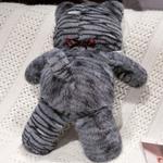 KUMAOYA Плюшевая кукла Gold Gradient Silver Gradient Kitten Dolls высотой 50 - фото 10