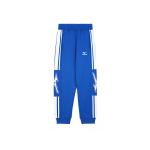 Детские штаны Mizuno, синий - фото