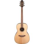 Акустическая гитара Takamine G Series New Yorker Natural - фото