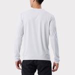 Мужская футболка Arcteryx, Пифей Хизер - фото 8