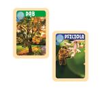 Клементони, научный набор исследователя природы Clementoni - фото 5