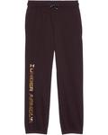 Брюки Under Armour Kids Painted Jogger, цвет Brown Obsidian - фото