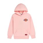 Детская толстовка Dickies, белый - фото 12