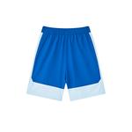 Унисекс шорты Under Armour, синие - фото