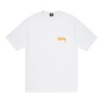 Футболка Stussy Coastline Tee 'White', белый - фото