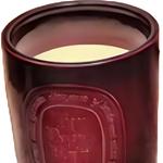 Ароматическая свеча Diptyque - фото 3