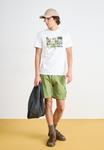 Шорты Weekend Offender Shorts, Sapling/Beige - фото 2